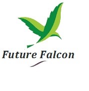 Future Falcon International pvt ltd.